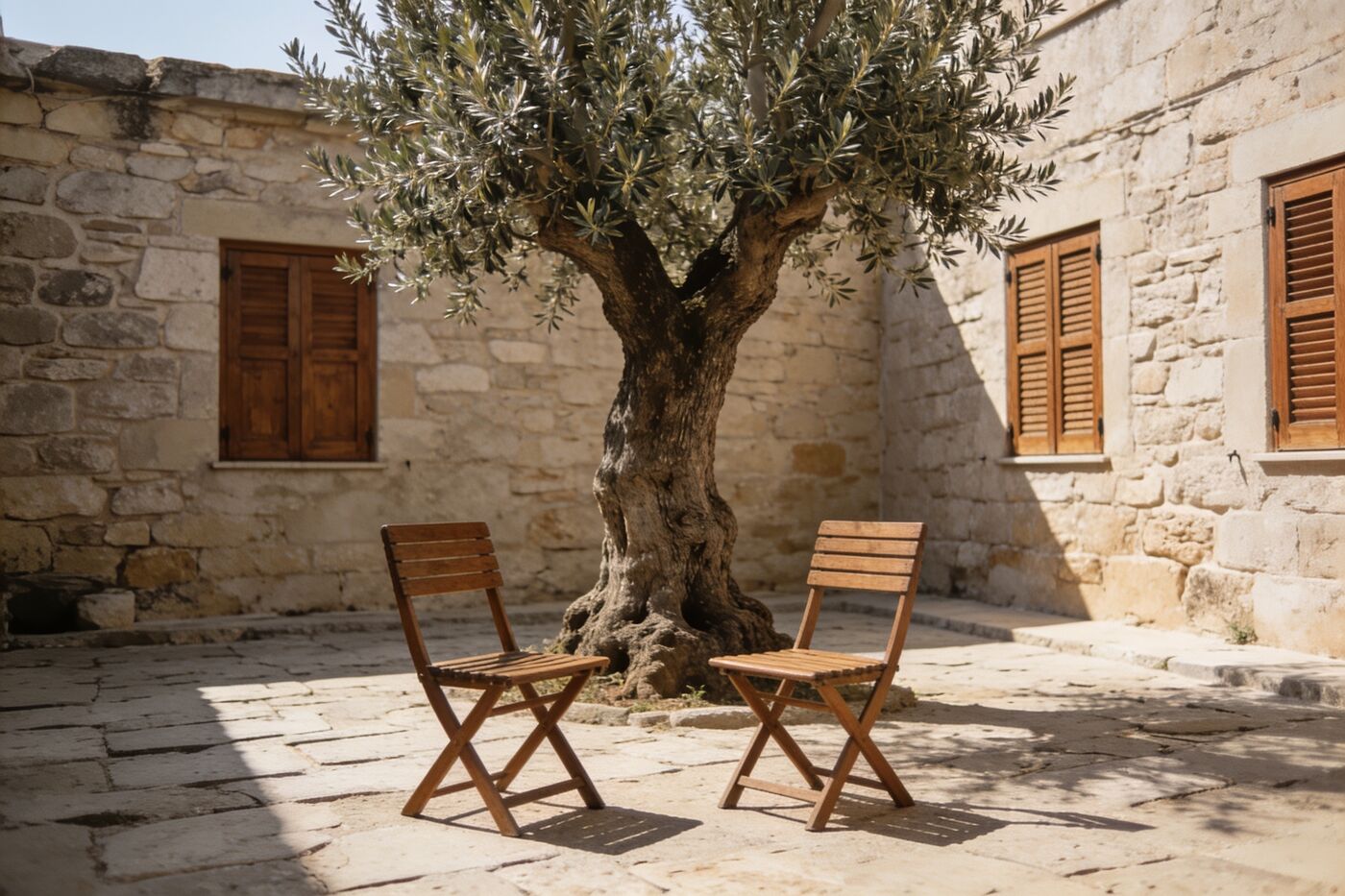 Two wooden chairs facing each other under an olive tree in a stone courtyard